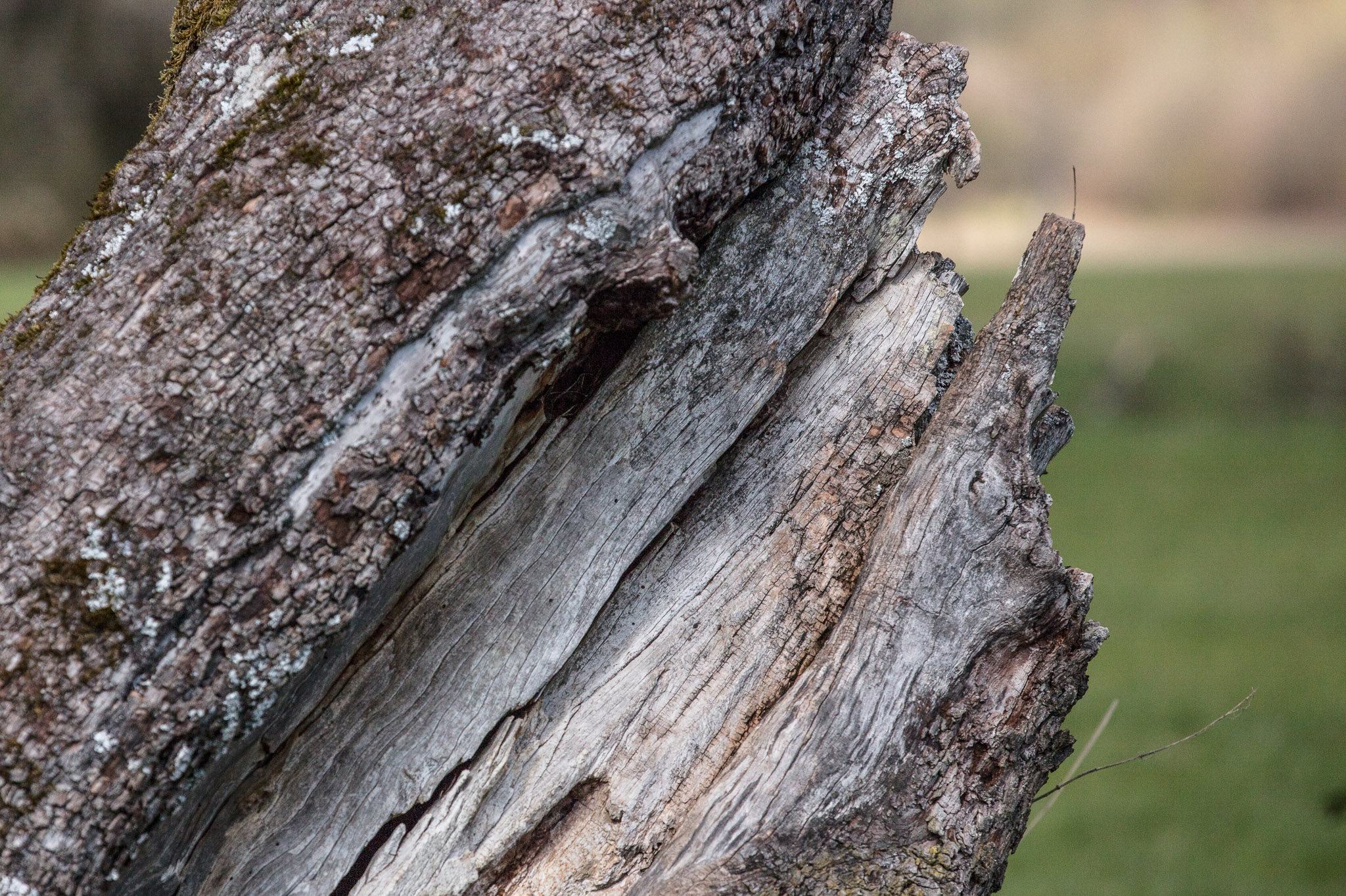 20220409154303 DP013978